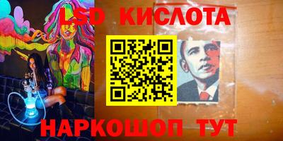 прущие грибы Севастополь