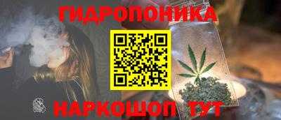 прущие грибы Севастополь