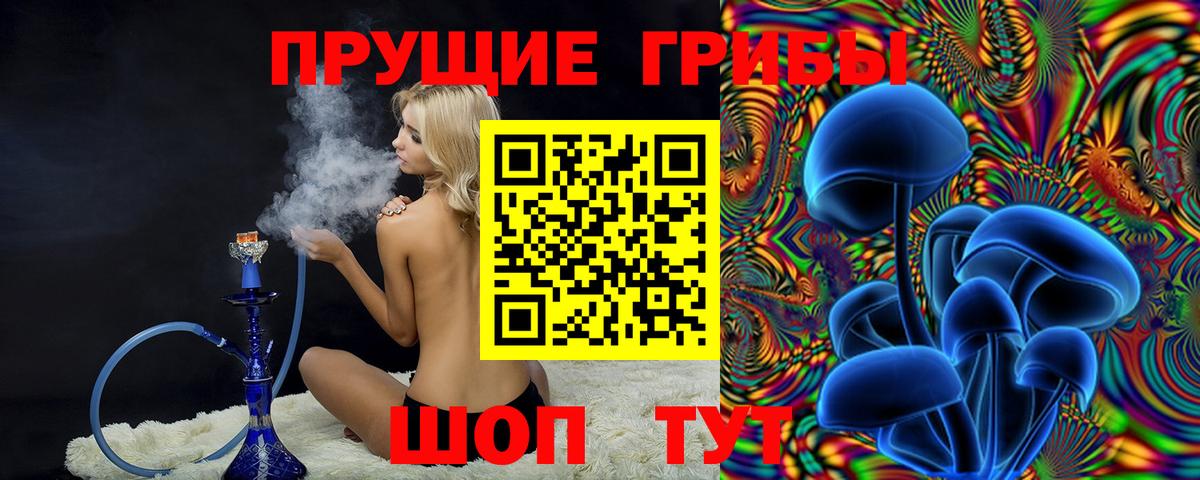 Псилоцибиновые грибы Cubensis  Вход с VPN  Приморско-Ахтарск 